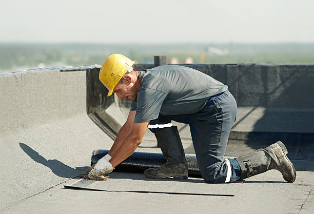Best Insulation Maintenance and Repair in Walkerton, IN