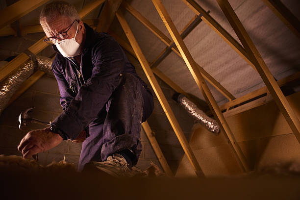 Best Energy Efficiency Insulation in Walkerton, IN